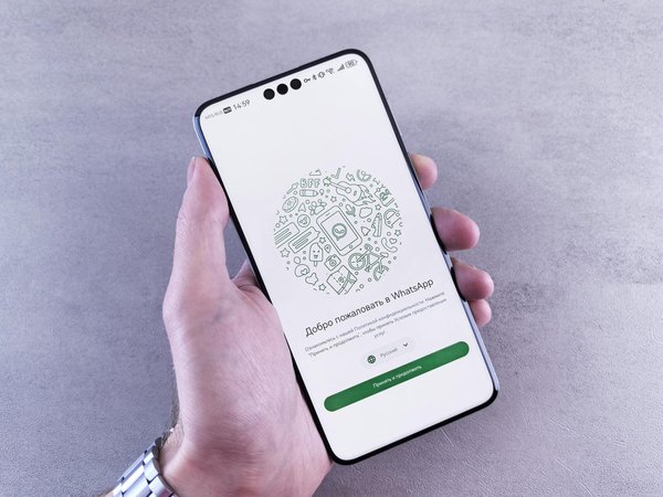 Découvrez l'agence web écoresponsable qui réduit votre empreinte carbone