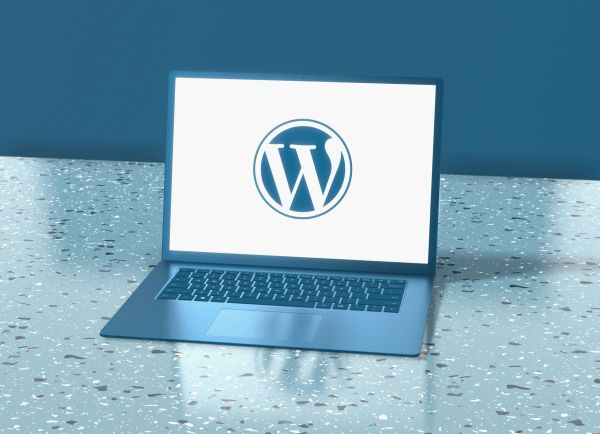 Maintenance wordpress : améliorez la performance de votre site